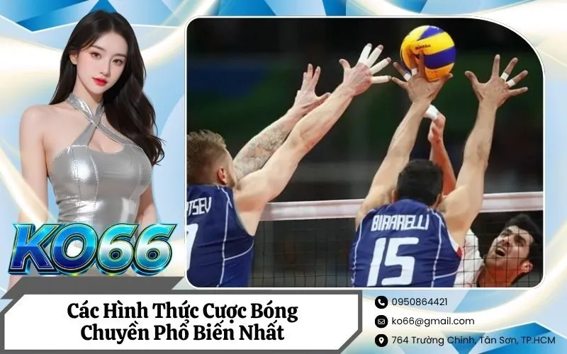 Các Hình Thức Cược Bóng Chuyền Phổ Biến Nhất