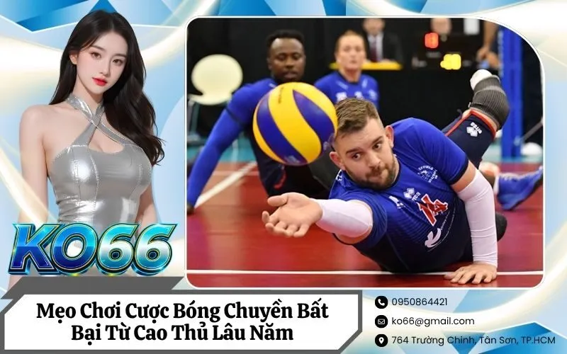 Cược Bóng Chuyền