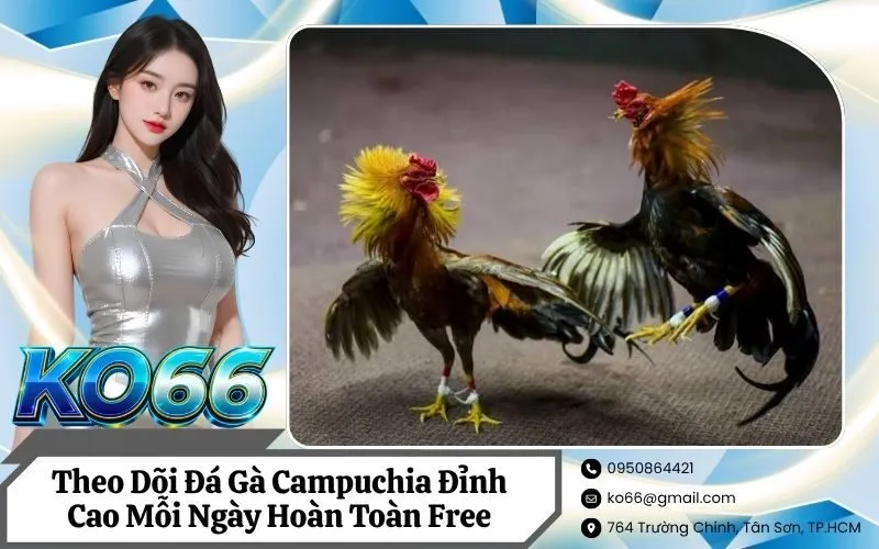 Đá Gà Campuchia