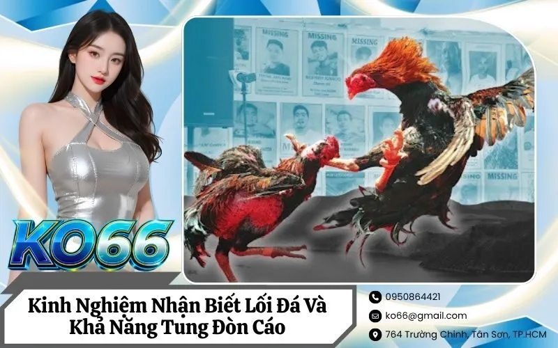 Kinh Nghiệm Nhận Biết Lối Đá Và Khả Năng Tung Đòn Cáo