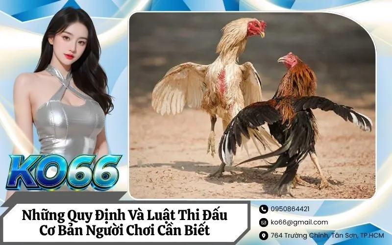 Những Quy Định Và Luật Thi Đấu Cơ Bản Người Chơi Cần Biết