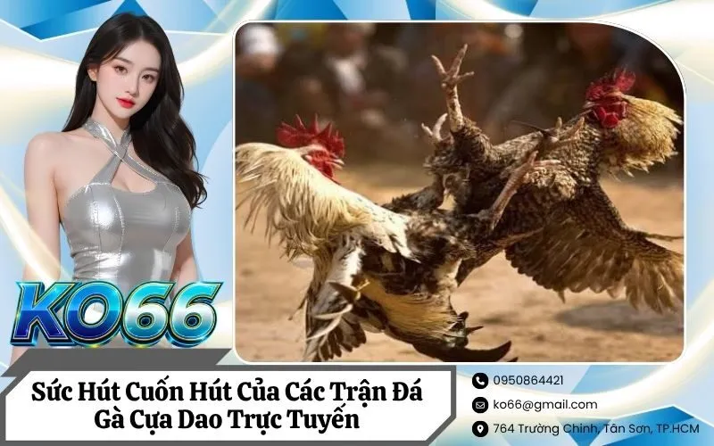 Sức Hút Cuốn Hút Của Các Trận Đá Gà Cựa Dao Trực Tuyến