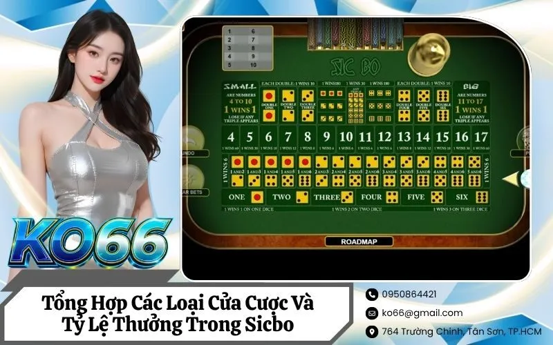 Tổng Hợp Các Loại Cửa Cược Và Tỷ Lệ Thưởng Trong Sicbo